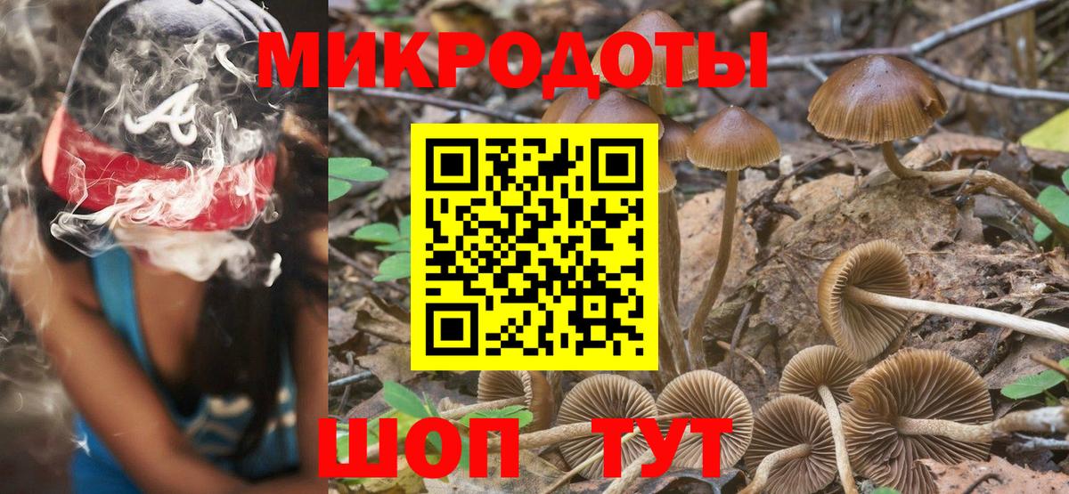 купить наркотики сайты  Галлюциногенные грибы Psilocybine cubensis  Вход с VPN  Шали 